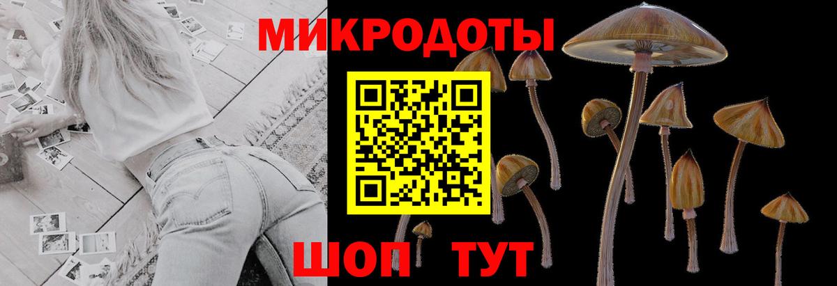 Псилоцибиновые грибы мухоморы Острогожск