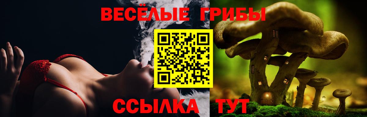 Псилоцибиновые грибы Cubensis  Вход с VPN  Острогожск 